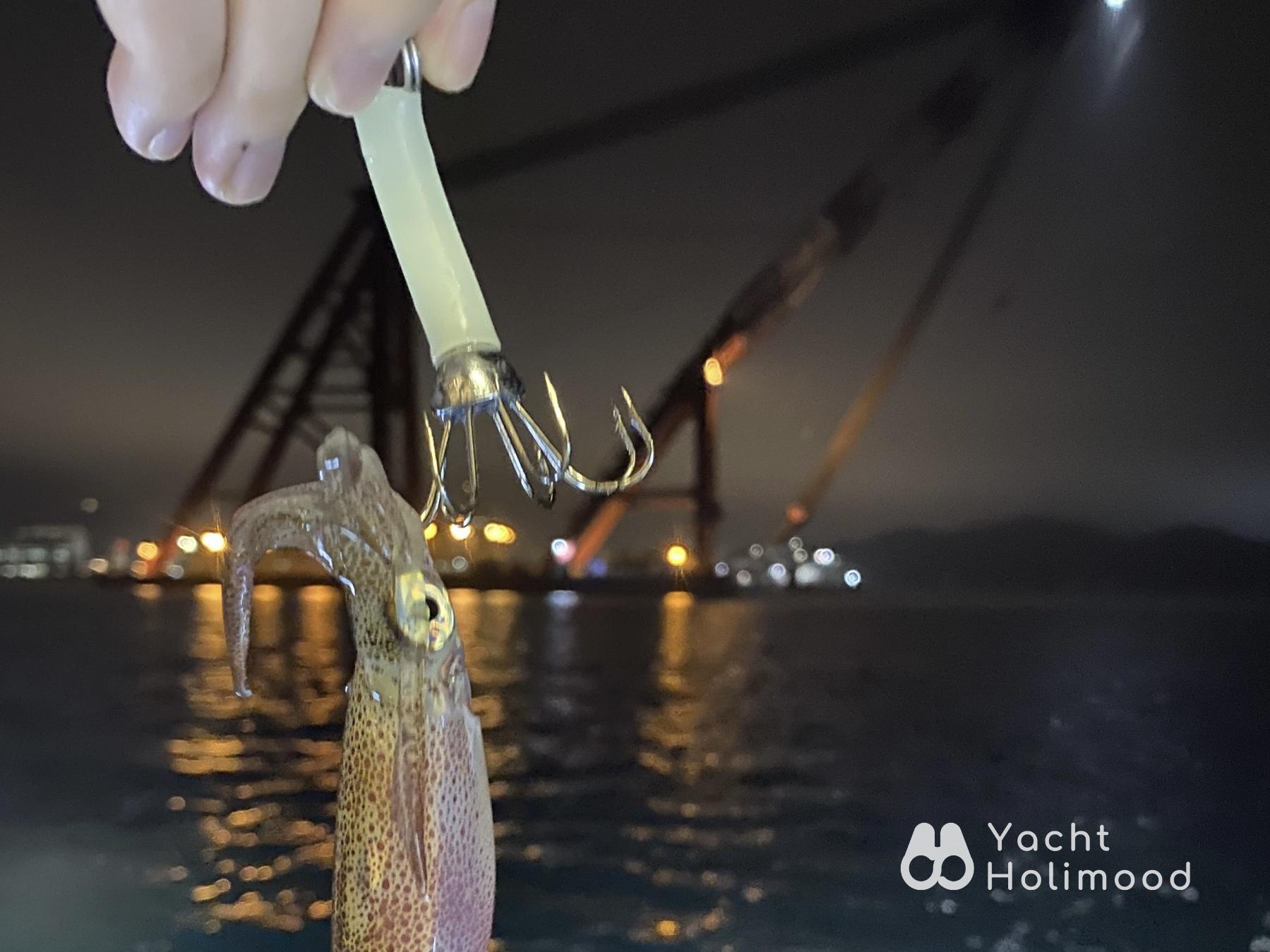 SL02 Victoria Harbour Cruise / Cuttlefish-catching Trip ( Basic Tutorial is given!) 28